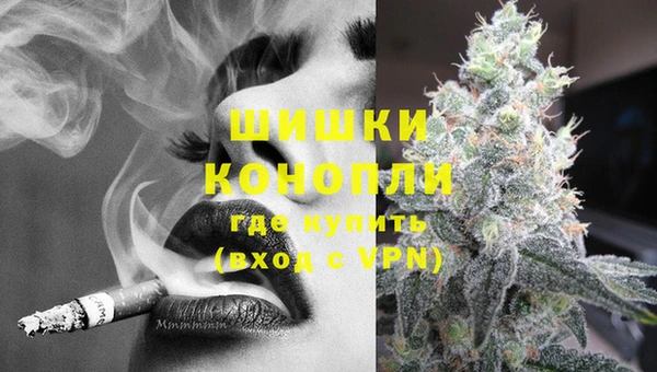 крисы Верхний Тагил