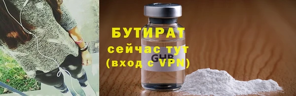 индика Бронницы