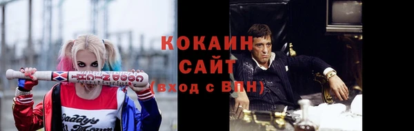 дмт Богородицк