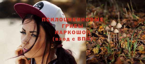 дмт Богородицк