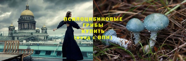 стафф Богданович